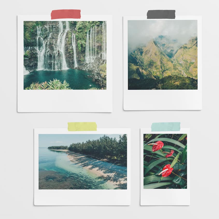 Paysages de la Réunion : Cascade, cirque de Mafate, plage du lagon, fleur rouge